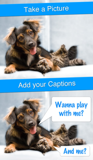 https://static.download-vn.com/perfect-captions-your-life-1.jpeg