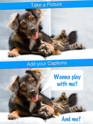https://static.download-vn.com/perfect-captions-your-life-15.jpeg