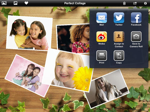 https://static.download-vn.com/perfect-collage2.jpeg