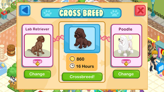https://static.download-vn.com/pet-shop-story-13.jpeg
