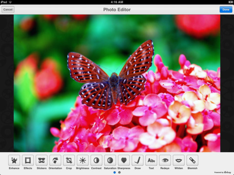 https://static.download-vn.com/photo-org-your-social-video5.jpeg