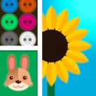 Photo Scrapbook – Collage, Frame, Caption, Edit and Share on Instagram, Facebook and Twitter
