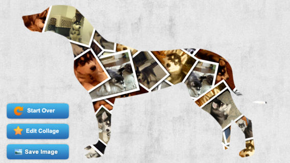https://static.download-vn.com/photo-shaper-collage-maker-1.jpeg