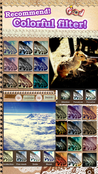 https://static.download-vn.com/photograd3.jpeg