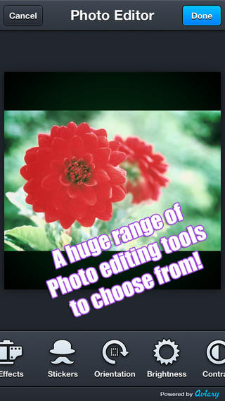 https://static.download-vn.com/photoshacker1.jpeg