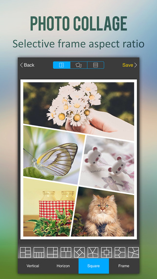 https://static.download-vn.com/pic-collage-text-on-photo-11.jpeg