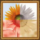 Download Pic-Frames Lite