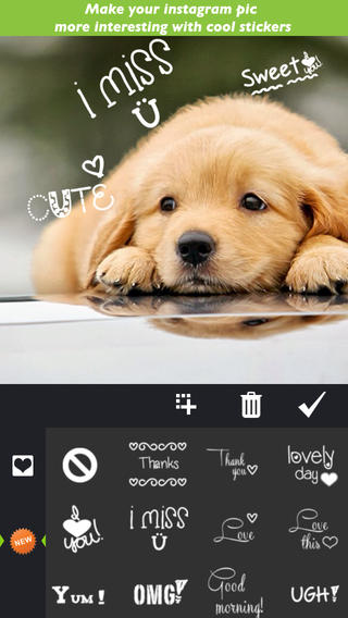 https://static.download-vn.com/piccam-photo-editor-fx-editor-12.jpeg