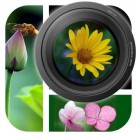 Download PicFrameCam