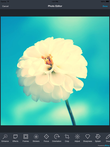 https://static.download-vn.com/piclab-express5.jpeg