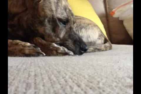 https://static.download-vn.com/picturefeeder-twitter-image-13.jpeg