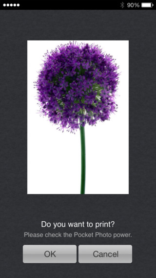 https://static.download-vn.com/pocket-photo2.jpeg