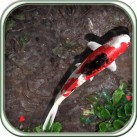 Download Pocket Pond HD