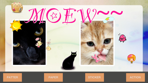 https://static.download-vn.com/postcard-maker-pro-11.jpeg