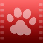 Protect, Upload, Manage and Share Your Videos with Vilynx