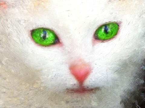 https://static.download-vn.com/psykopaint.jpeg