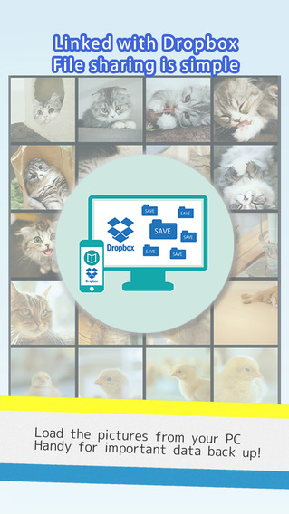 https://static.download-vn.com/quick-photo-album4.jpeg