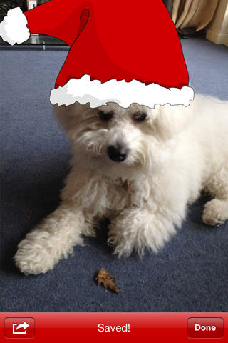https://static.download-vn.com/santaface-11.jpeg