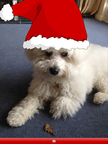 https://static.download-vn.com/santaface-13.jpeg