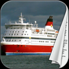 Shipping Terms