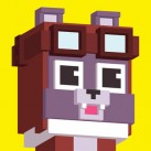 Shooty Skies – Endless Arcade Flyer