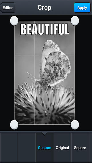 https://static.download-vn.com/sketch-cam-2.jpeg