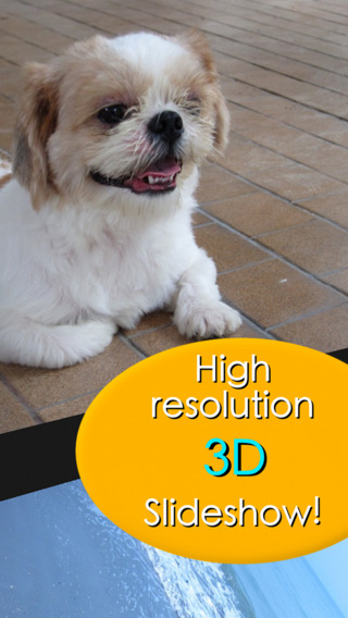 https://static.download-vn.com/slideshow-3d-lite-12.jpeg
