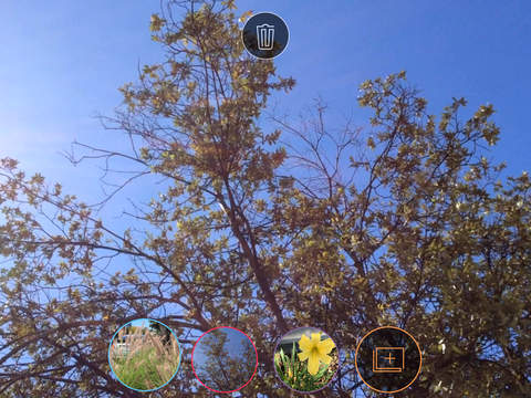 https://static.download-vn.com/spark-camera-17.jpeg