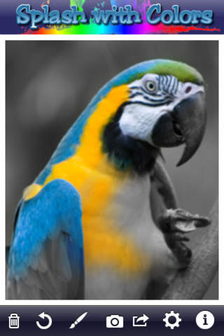 https://static.download-vn.com/splash-with-colors-free-11.jpeg