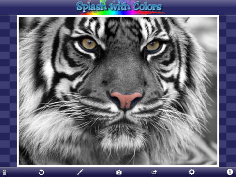 https://static.download-vn.com/splash-with-colors-free-15.jpeg