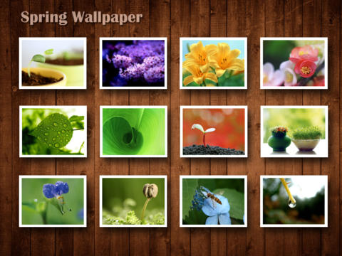 https://static.download-vn.com/spring-wallpaper-hd-1.jpeg