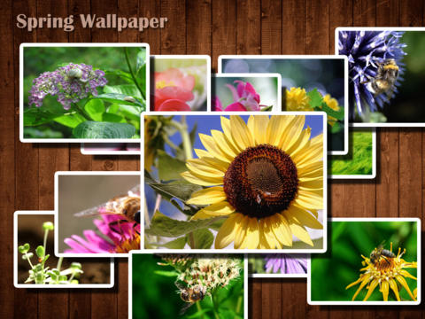 https://static.download-vn.com/spring-wallpaper-hd-13.jpeg