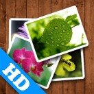 Download Spring Wallpaper HD