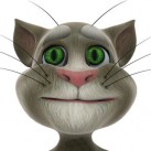 Download Talking Tom Cat