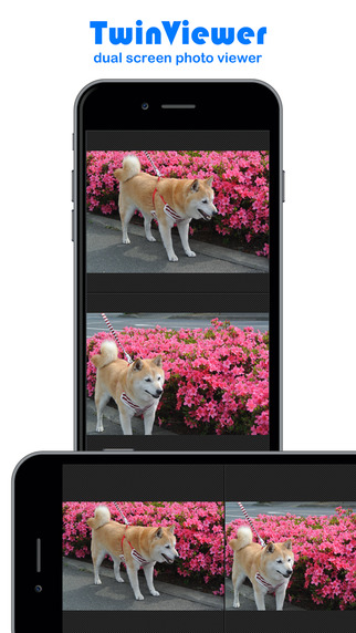 https://static.download-vn.com/twinviewer-1.jpeg