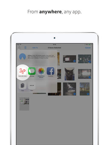 https://static.download-vn.com/unlimited-photo-video-transfer6.jpeg