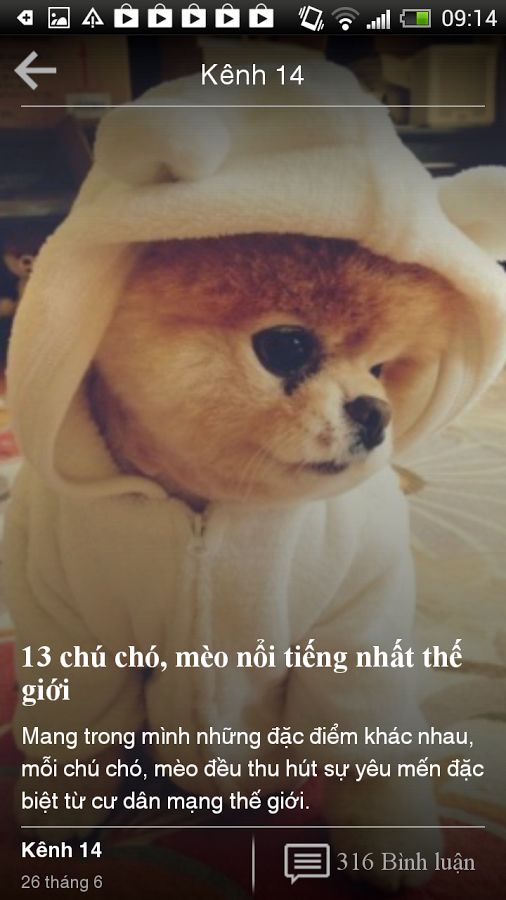https://static.download-vn.com/vcc.mobile.pega_3.png