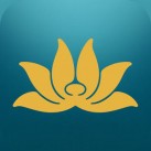 Download Vietnam Airlines