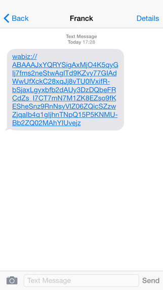 https://static.download-vn.com/wabiz-lite-messages-encryption-13.jpeg