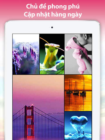 https://static.download-vn.com/wallpaper-hd-cute-themes-backgrounds-17.jpeg
