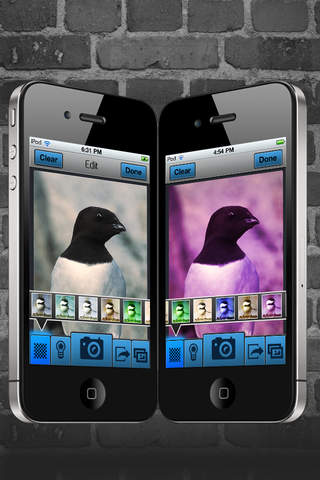 https://static.download-vn.com/x-pic-lite.jpeg